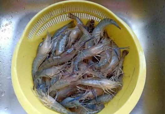 儿童食谱家常菜之草虾的做法4