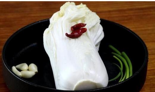大白菜1