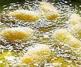 黄金蝴蝶虾7