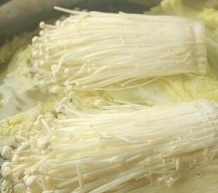 金针菇白玉卷3