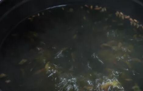 腊八粥5