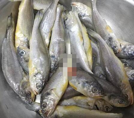 干炸小黄鱼1