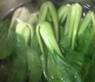 蚝油香菇油菜3