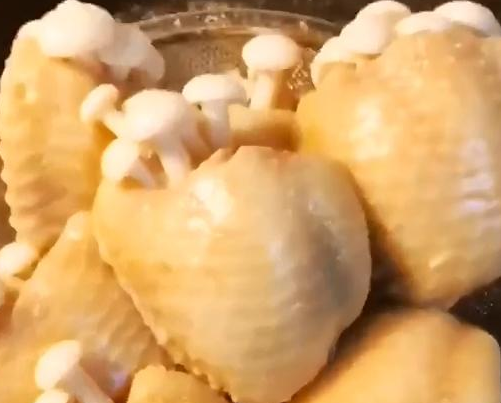 鸡翅包菇6