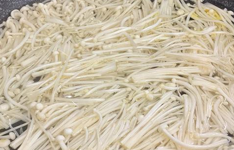 金针菇豆腐煲4