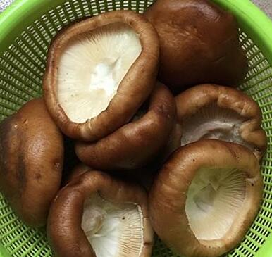香菇酿肉6