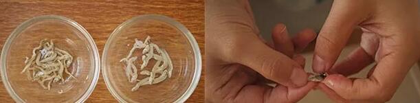 炒饭怎么做好吃 丁香鱼时蔬蛋炒饭的做法8