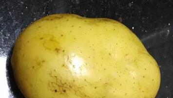 清炒土豆丝2