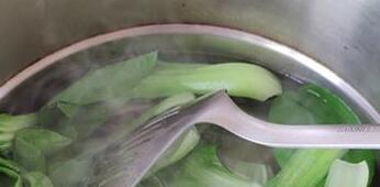 香菇油菜5