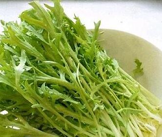 凉拌苦菊4