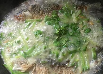 鲫鱼青萝卜汤13