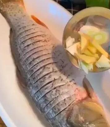 鲤鱼3