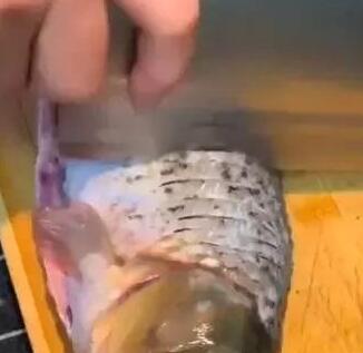 鲤鱼2