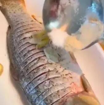 鲤鱼5