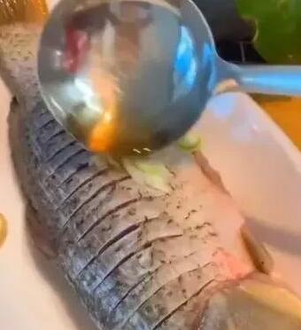 鲤鱼4