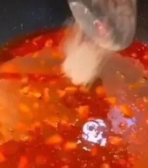 鲤鱼14