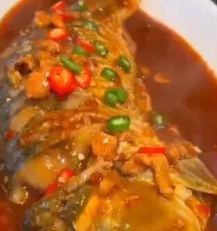 鲤鱼18