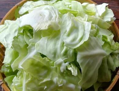 包菜炒粉条3