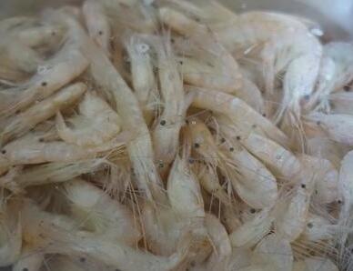 油炸海白虾1