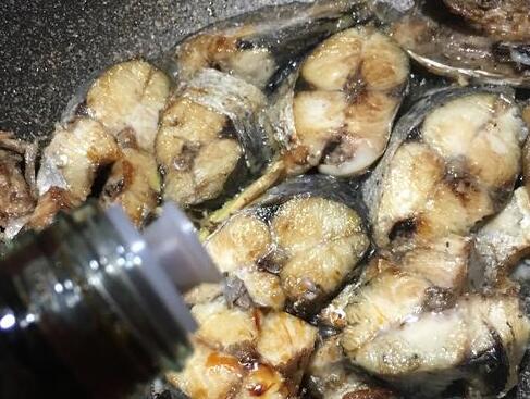 马鲛鱼6