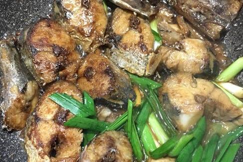 马鲛鱼9