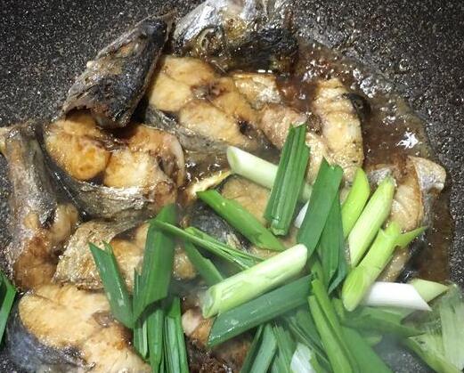马鲛鱼8