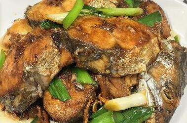 马鲛鱼10