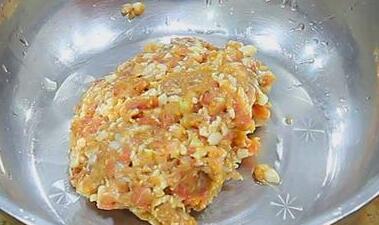 黄金肉饼7