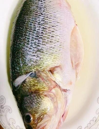 清蒸鲈鱼2