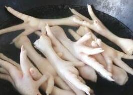 红烧鸡爪3