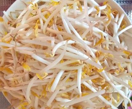韭菜豆芽粉条2
