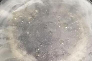 凉皮7