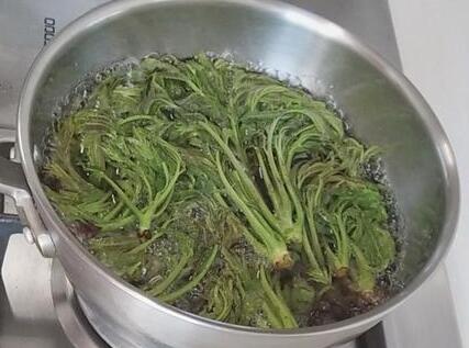 香椿鱼3