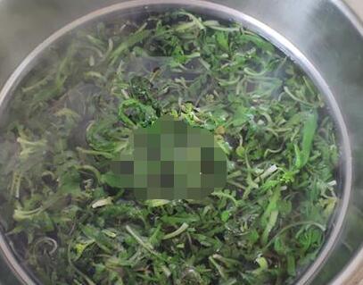 荠菜饺子4