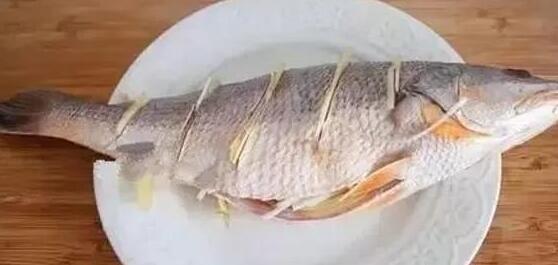 啤酒鱼3