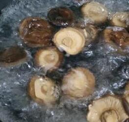 香菇焖鸡7