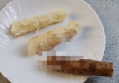 山药泥鲜肉小馄饨3