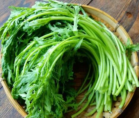 茼蒿炒肉2