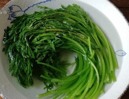 茼蒿炒肉5