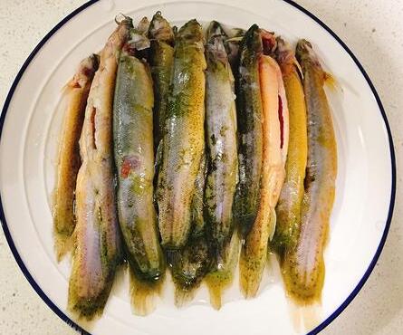 泥鳅炖豆腐2