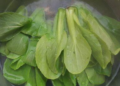 时蔬烩虾球5