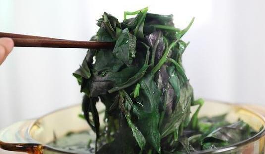 凉拌观音菜5