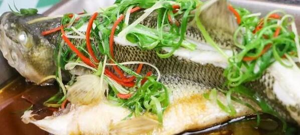 清蒸鲈鱼1