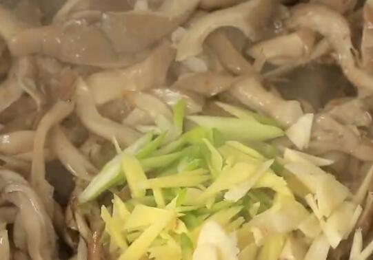 蘑菇5