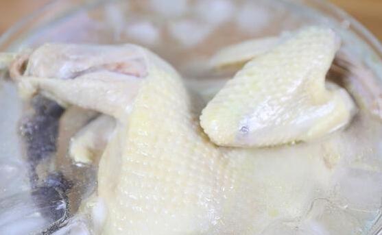 红油口水鸡6