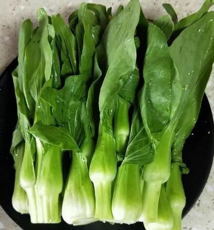 香菇油菜2