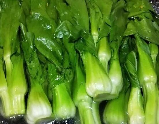 香菇油菜5