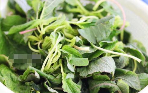 苋菜怎么做 蚝油肉片苋菜的做法2