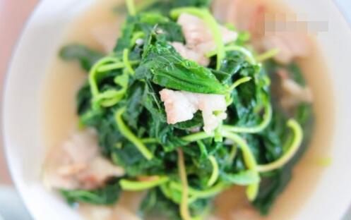 苋菜怎么做 蚝油肉片苋菜的做法1