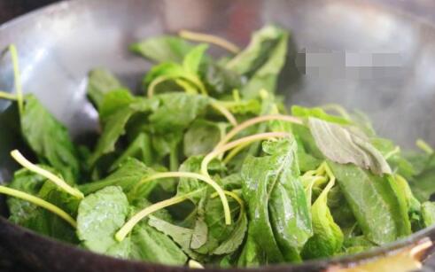 苋菜怎么做 蚝油肉片苋菜的做法4